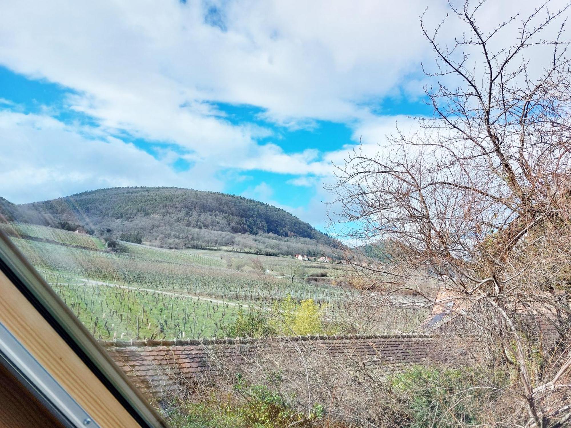 Les Gites De Georgia Voegtlinshoffen Oda fotoğraf